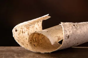 Mulberry paper can also serve as a traditional medicinal material because it may help clear liver heat and support lung balance. In addition, it provides excellent breathability and allows the moxa stick to burn more evenly and steadily.