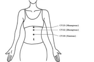 CV13 (Shangwan),Located on the upper abdomen..CV12 (Zhongwan),Located in the center of the upper abdomen..CV10 (Xiawan),Located on the upper abdomen below CV12.