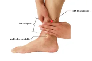 SP6 (Sanyinjiao) Located on the inner lower leg.